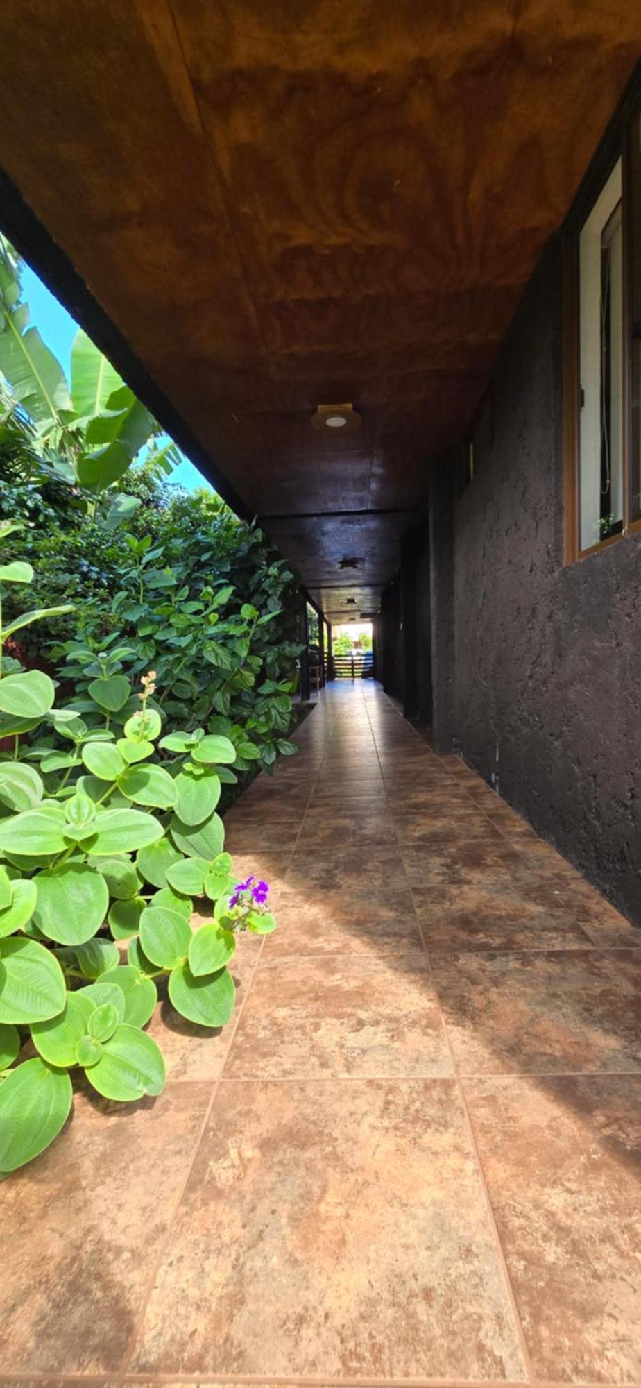 Apartamentos Tupuna Lodge Ханга Роа Стая снимка