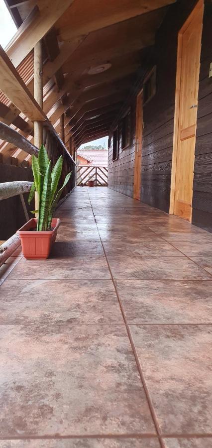 Apartamentos Tupuna Lodge Ханга Роа Екстериор снимка